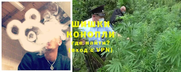 сатива Белокуриха