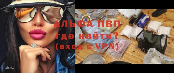 сатива Белокуриха