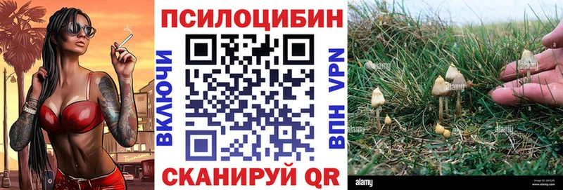 Галлюциногенные грибы GOLDEN TEACHER  где купить наркоту  Михайлов 